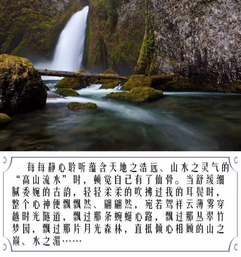 逗小猴开心系列172